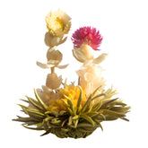 Dancing Leaves - Blooming tea